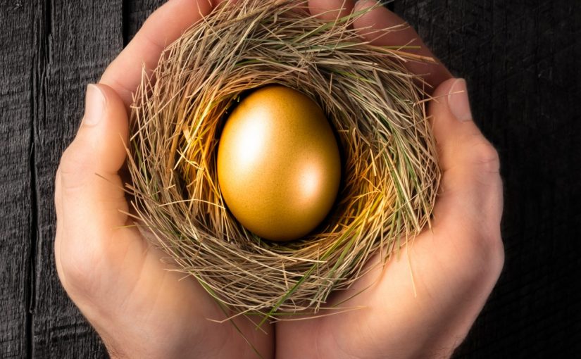 Alt="Asset protection nest egg"